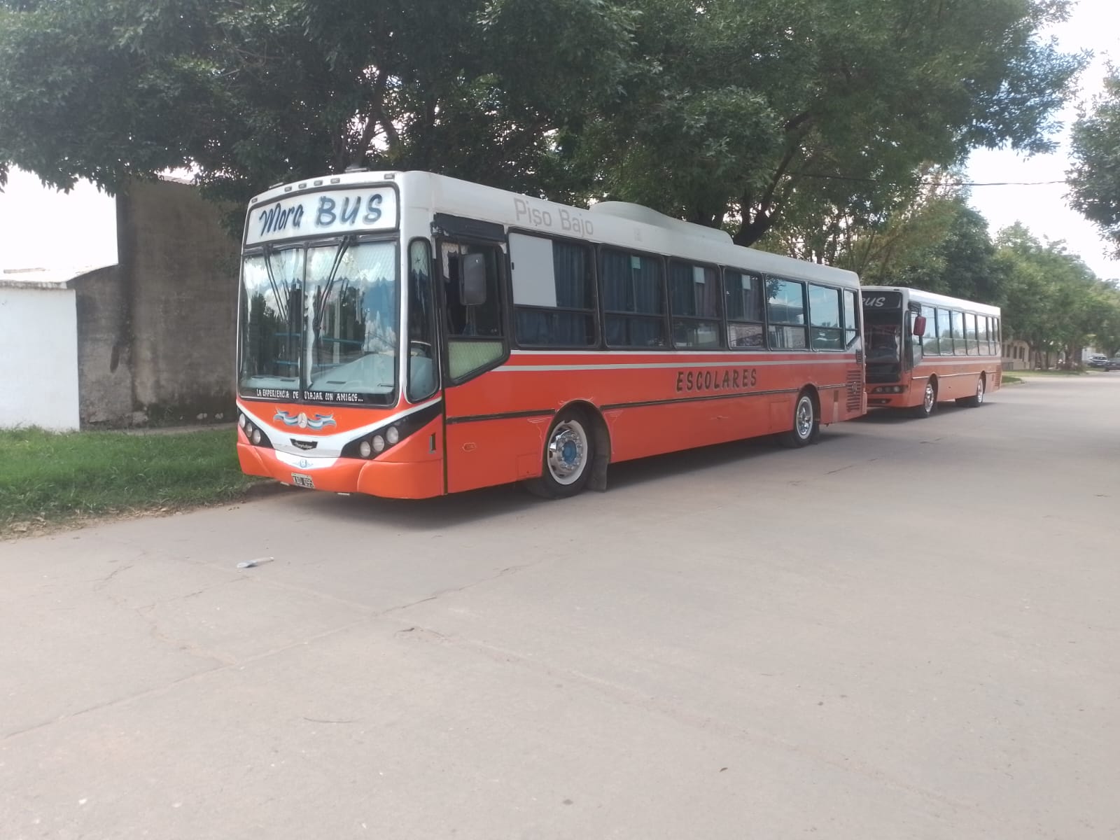 Tres colectivos Mora Bus